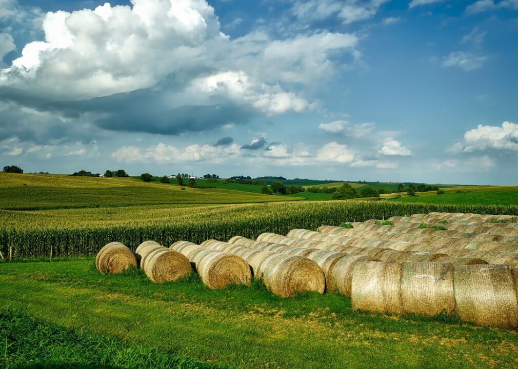 #45. Iowa (tie)